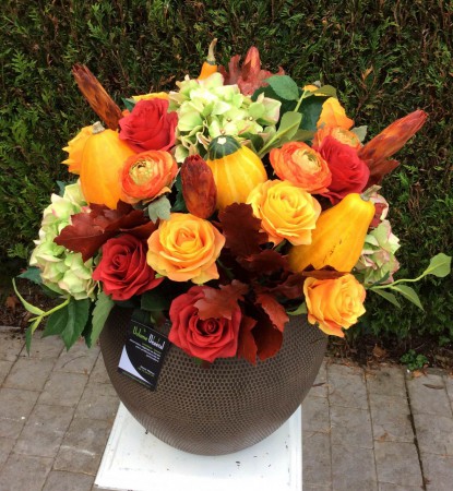 roses hortensia coloquinte renoncule