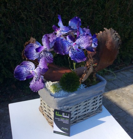 Orchidée "Vanda" / 56€ - Vendu