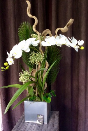 Phalaénopsis, Graminés, pin, lianes / Loc. 40€